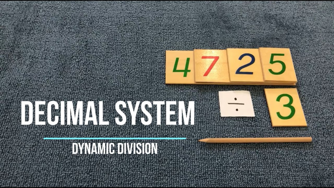[VMI] Math - Decimal System : Dynamic Division - Montessori
