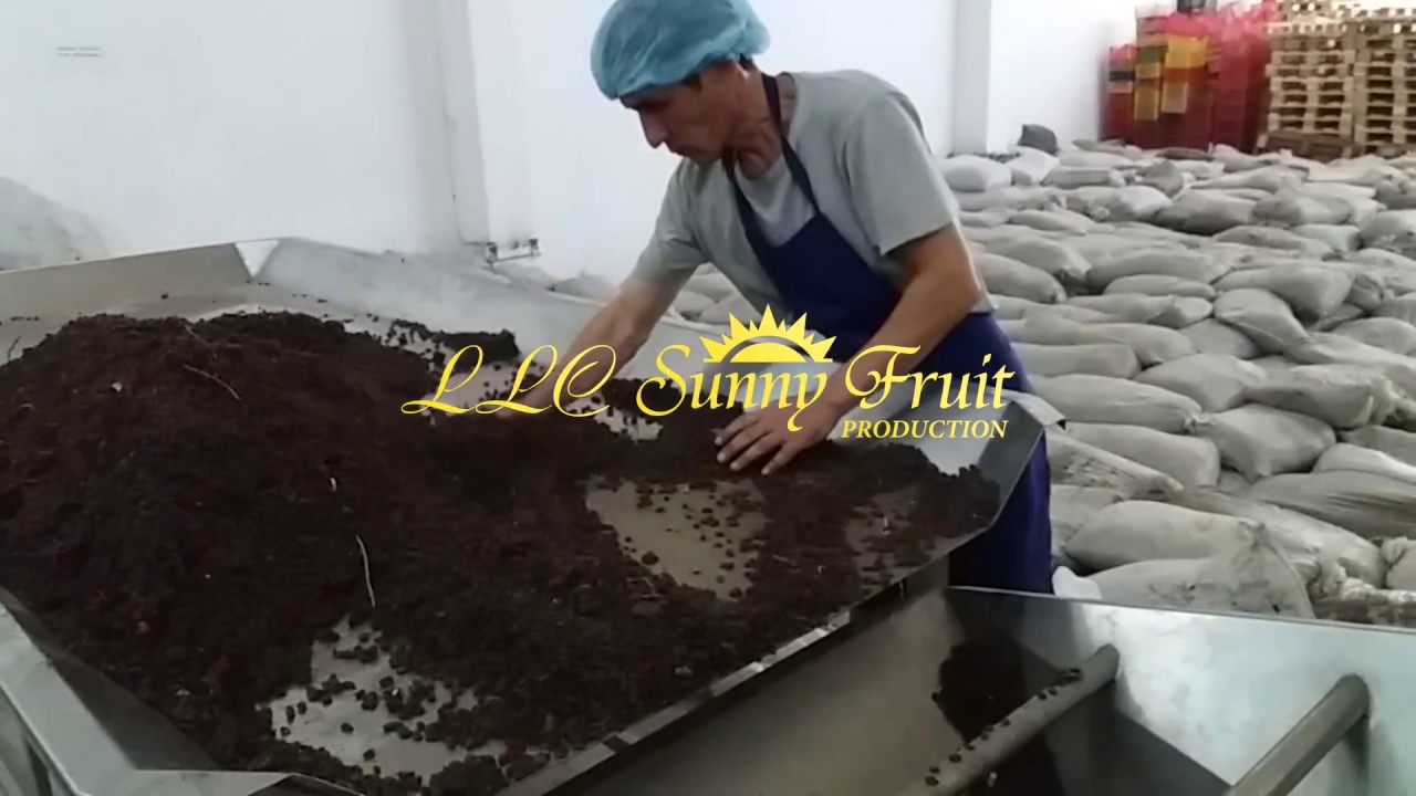 Сухофрукты из Узбекистана оптом. Производство изюма.(2)