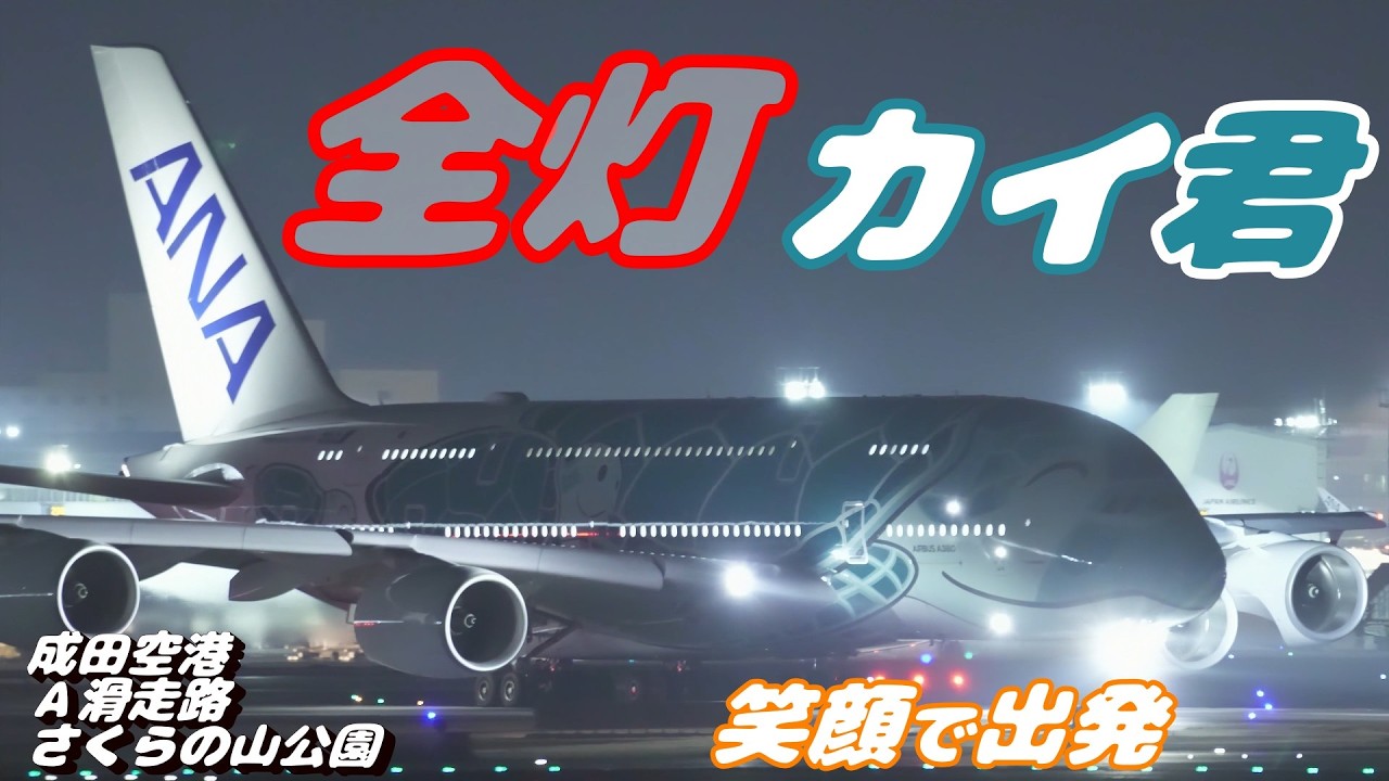 【4K】成田空港 さくらの山公園 ANA超巨大旅客機エアバスA380 カイ君 全灯でハワイへ出発