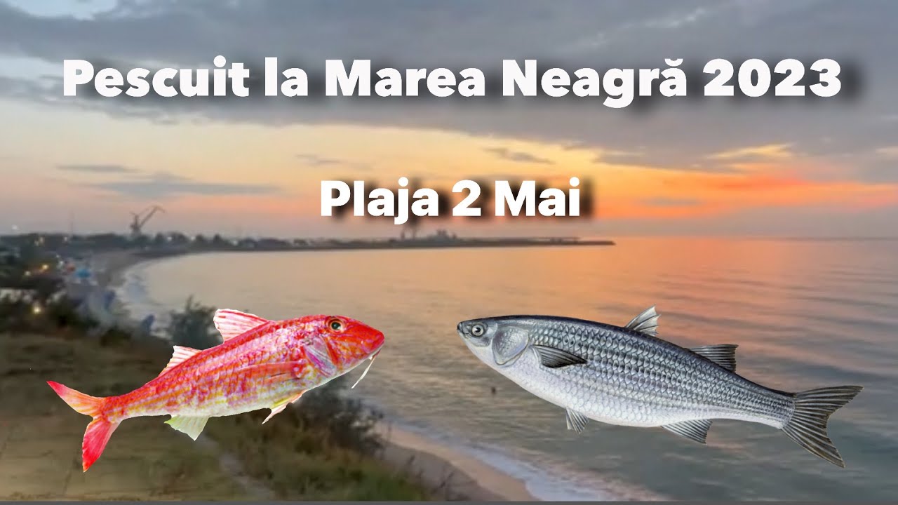 Pescuit la Marea Neagră 2023. Barbun și Chefal pe Plaja 2 Mai