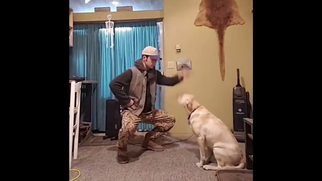 El perro : (WTF)