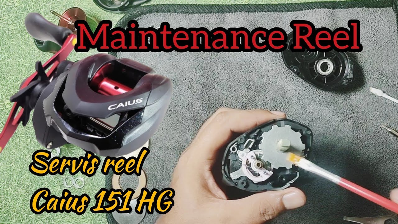Cara servis reel shimano caius 151HG | maintenance reel baitcasting