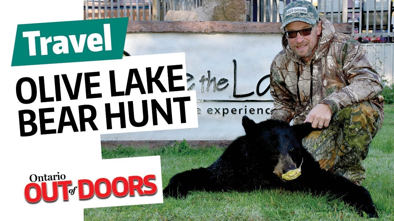 Olive Lake bear hunt
