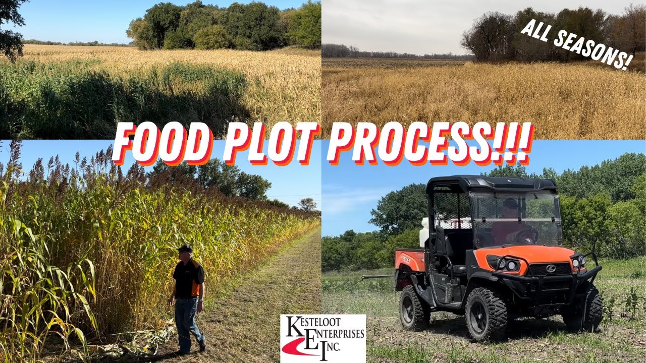 FOOD PLOT PROCESS! (Sorghum Milo, Corn)