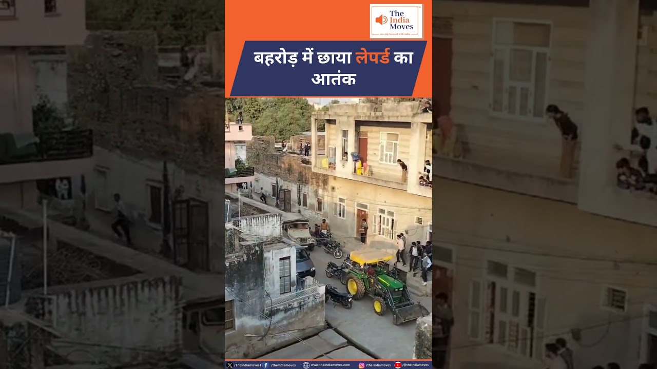बहरोड़ में छाया लेपर्ड का आतंक Breaking News | The India Moves