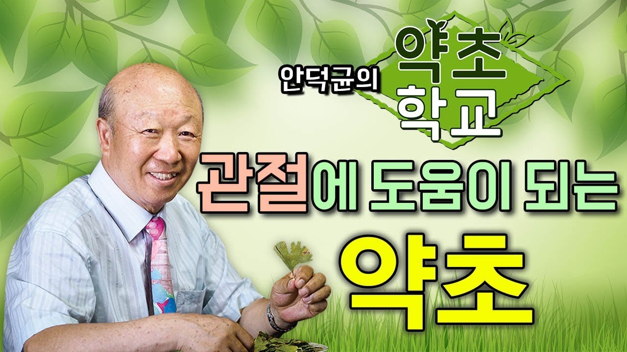 (한글자막) 관절질환에 도움이 되는 약초(금은화, 황기, 닭발, 목통, 녹각) [안덕균의 약초학교 EP.04]