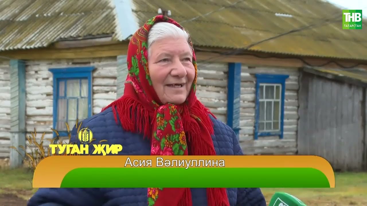 Туган җир 01/11/24