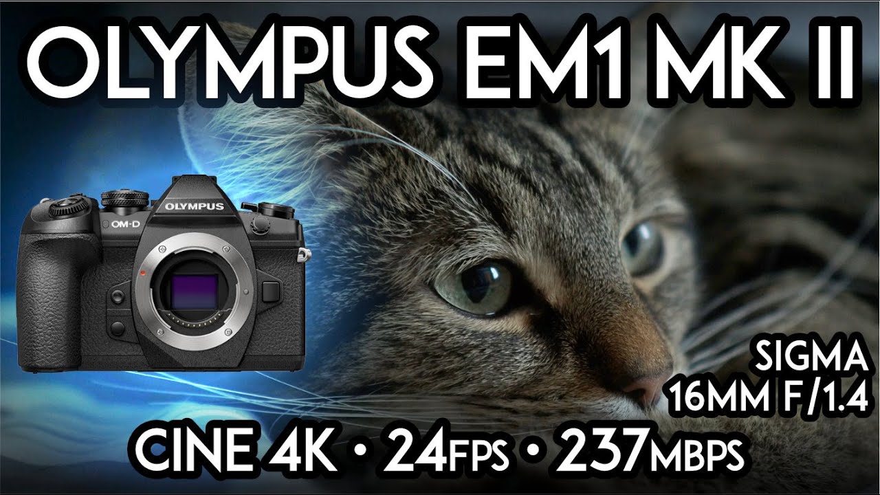 Olympus  EM1 mark ii • Sigma 16mm f/1.4 • Handheld Cine 4K