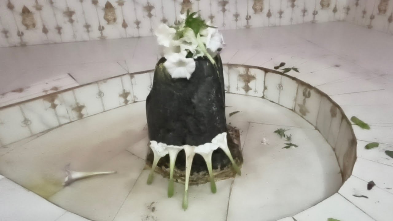 आज सुबह महादेव जी के दर्शन#viral#live#video#treanding#sanatn#short