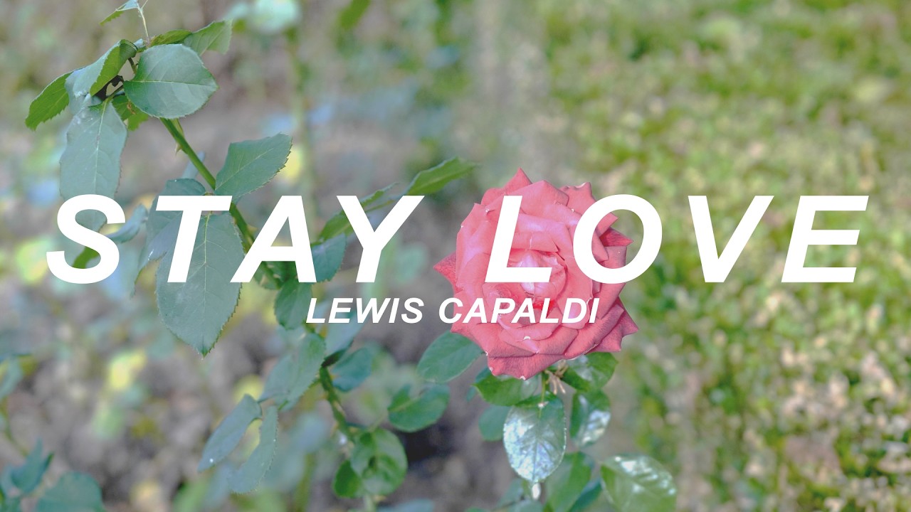 Lewis Capaldi - Stay Love (Lyrics)
