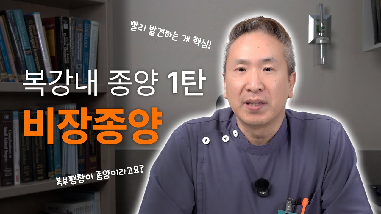 강아지 고양이 비장종양?! 두려워하지 마세요 - 반려동물 복강내 종양의 모든 것!