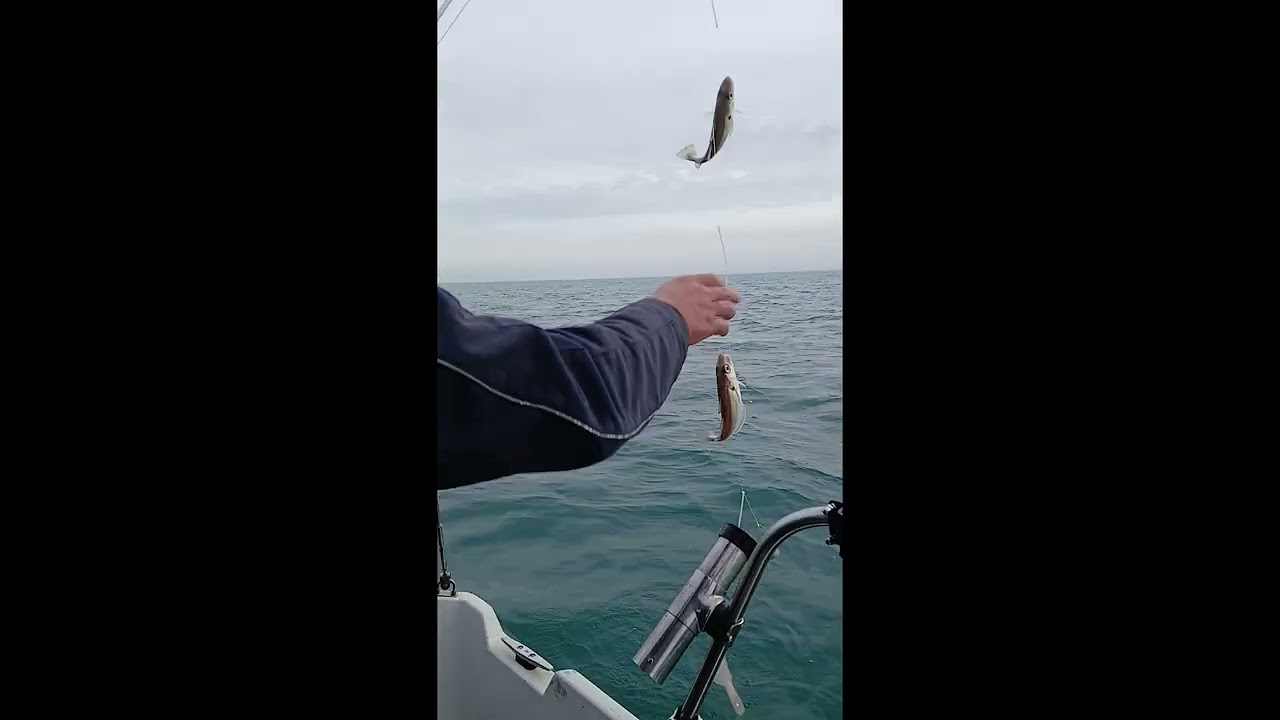 Рыбалка на камбалу в Северном море