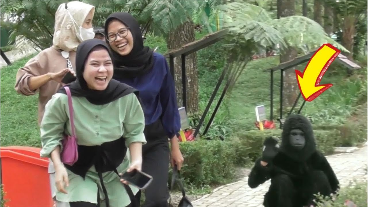 Auto Happy with monkey || Semua teriak histeris karena MONYET NAKAL