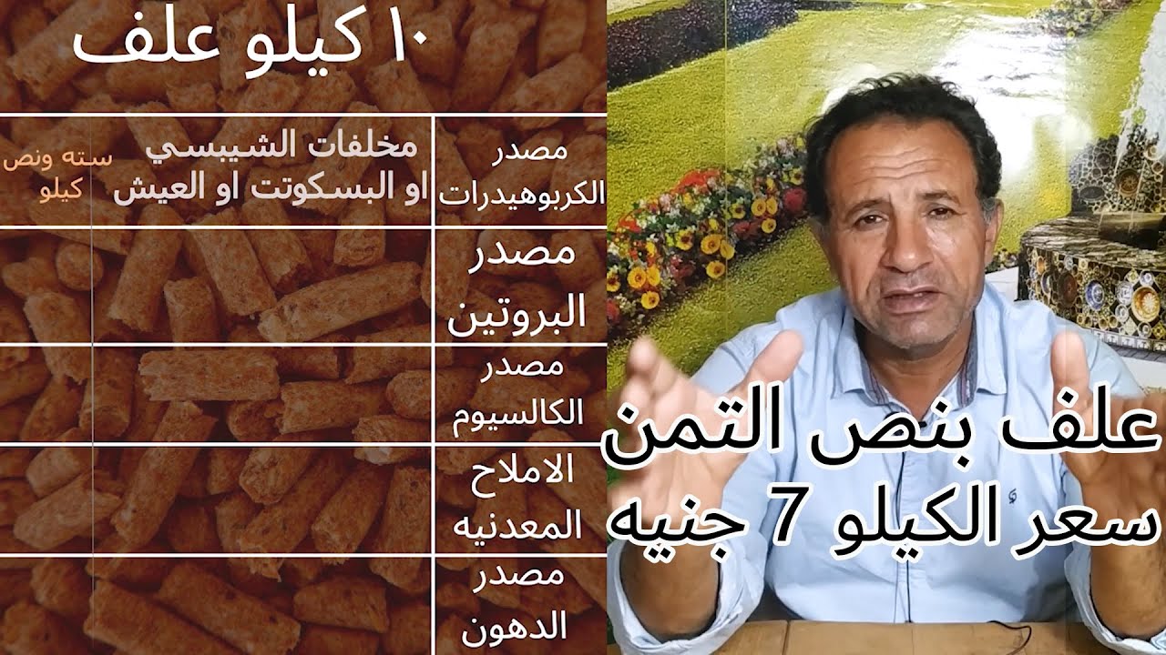 ارخص خلطه علف للفراخ البيضه هتوفر نص التمن يعني المكسب هيزيد الضعف