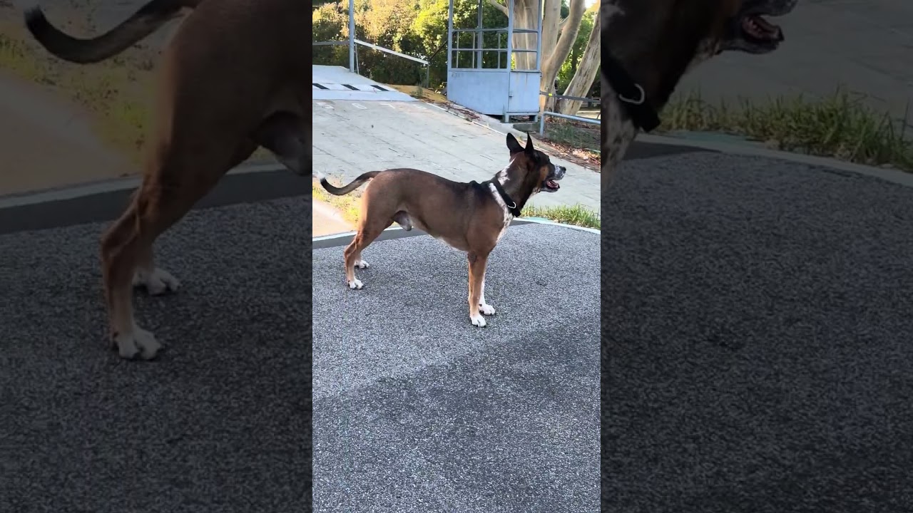 Neo is on his regular run 