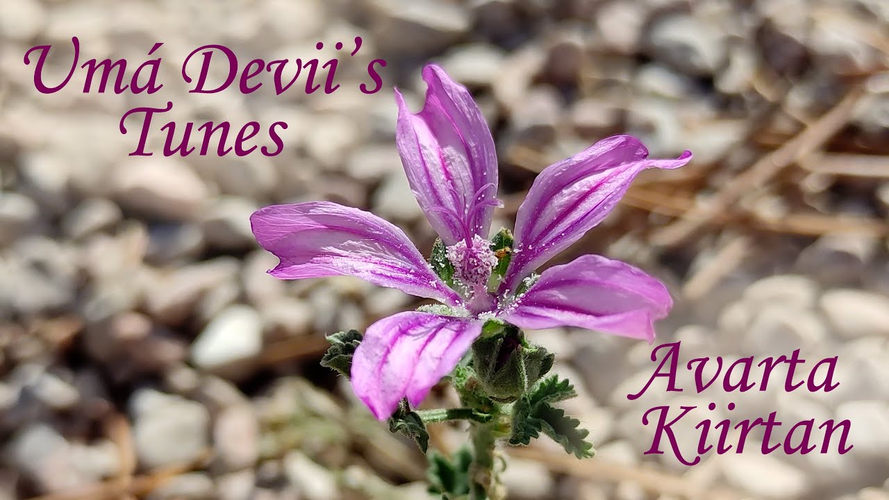 Umá Devii's Tunes - Avarta Kiirtan