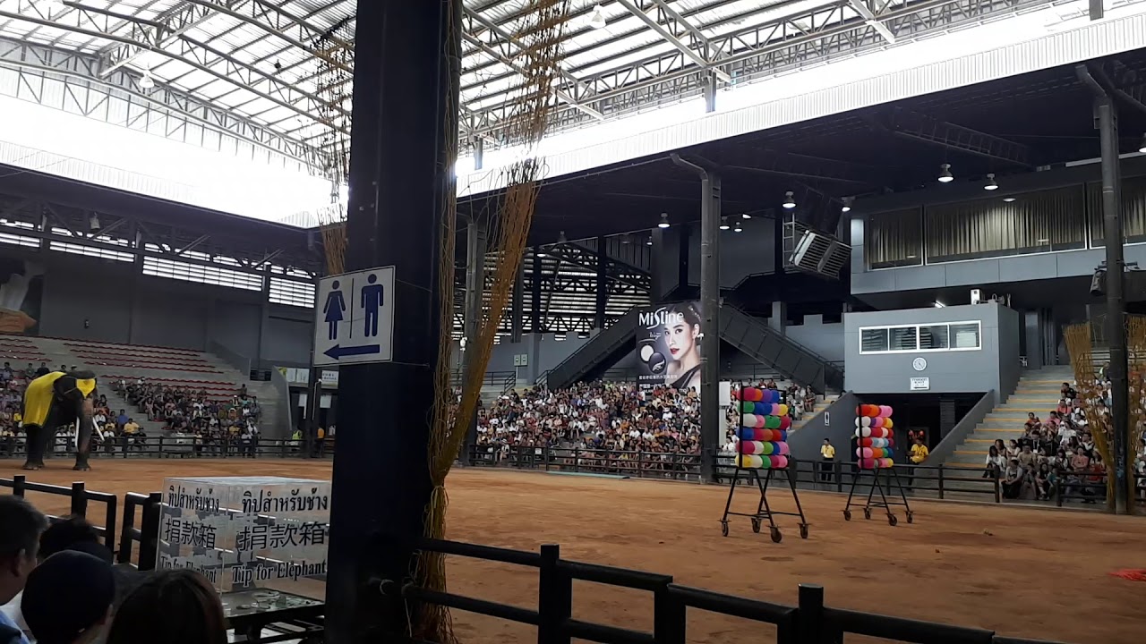 Gajah mecahin Balon