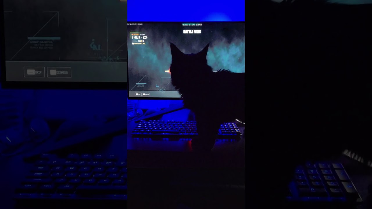 Call Of Kitty - Black Ops 6 