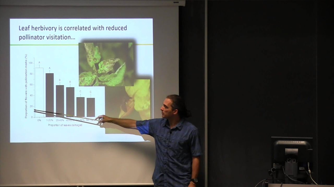 Plant secondary metabolite diversity and inducibility: Two means to the same end?
