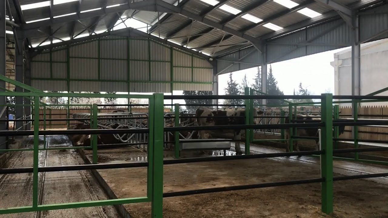 50 Başlık Örnek Çiftliğimizde Genel Görünüm