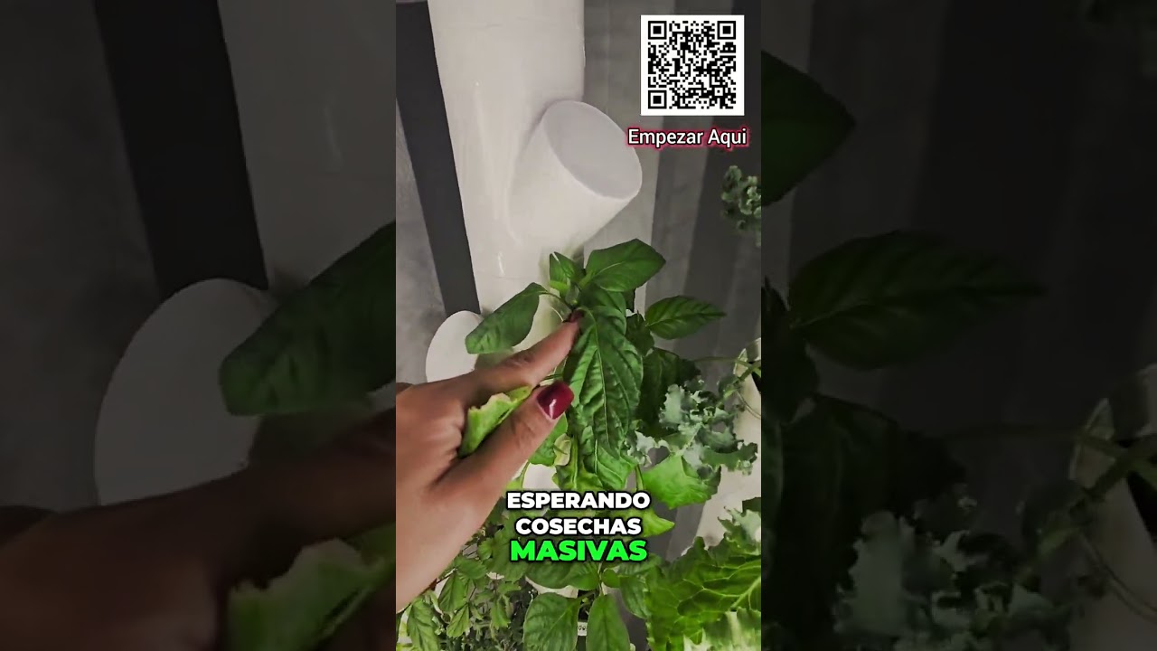 Reseña HONESTA de Garden: ¿Vale la Pena?