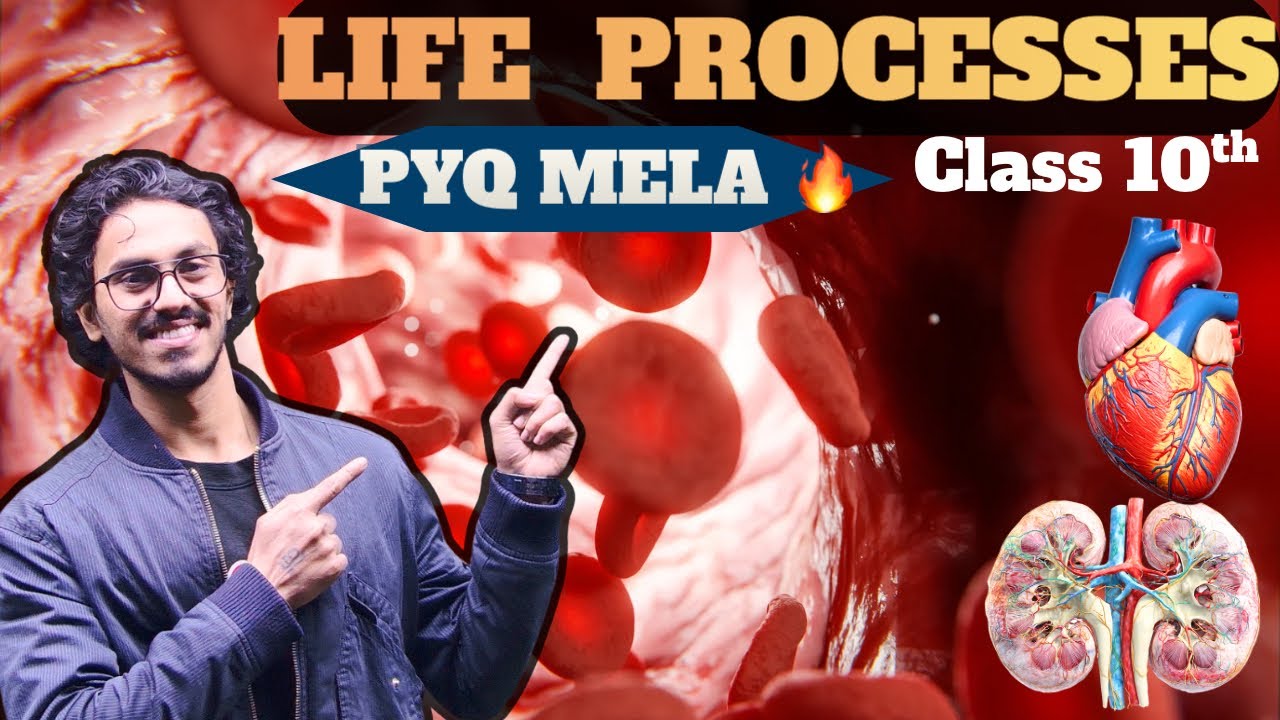 Class 10th | LIFE PROCESSES | PYQ MELA 🔥| NCERT COVERED | 