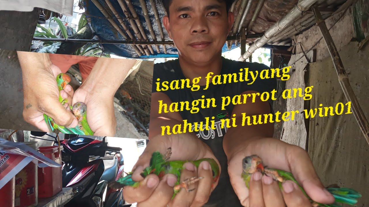 isang familyang kulasisi sabay sabay nahuli sa trap ko 👍#buhay mangangati🔥