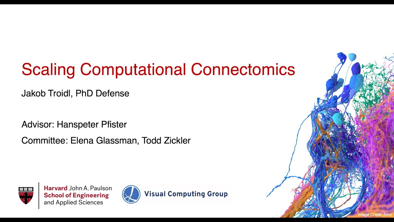 Scaling Computational Connectomics - Jakob Troidl - PhD Defense - Harvard
