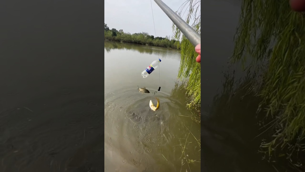 How to catch big fish using only a bottle and steel rod and fishing line?