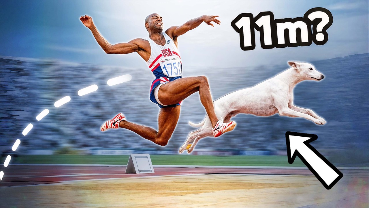 Can We Jump Further Than Dogs?