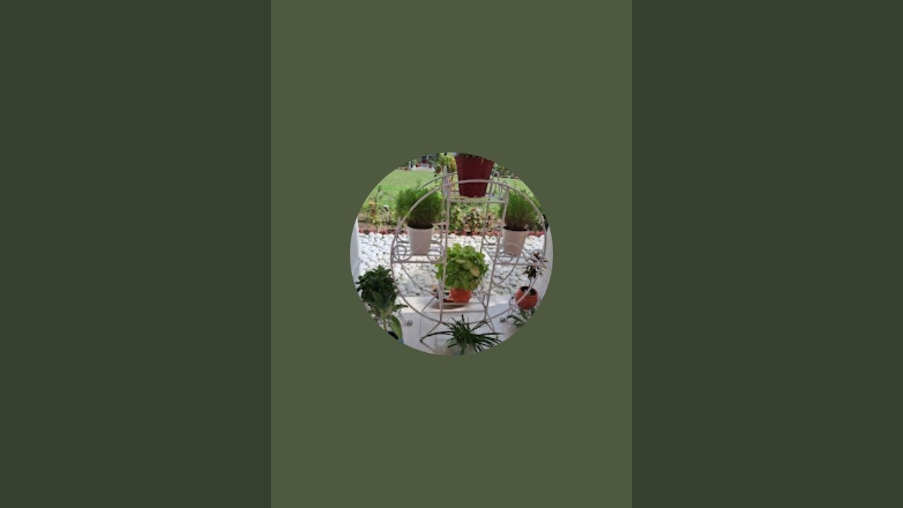 vologs  is live