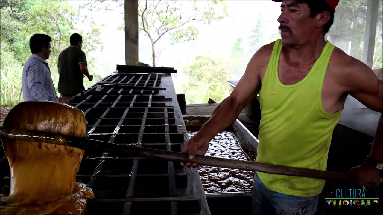 Producci&oacute;n De Panela En Boyac&aacute;, Colombia.