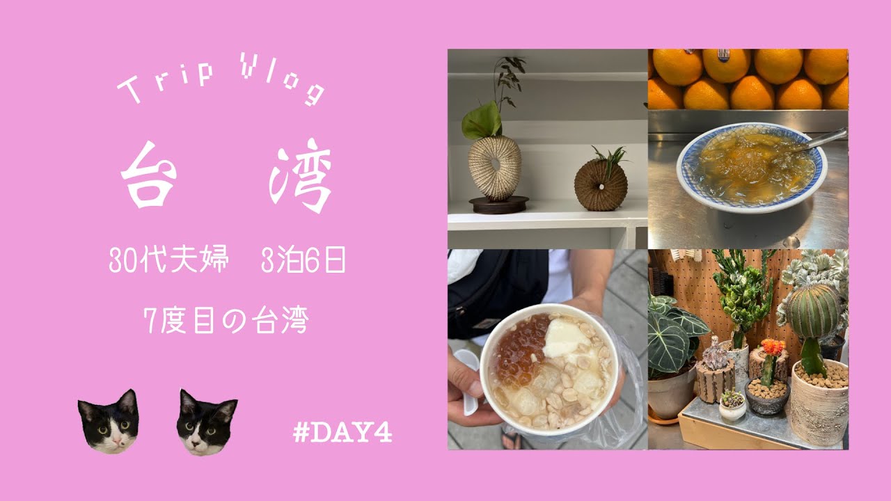 【台湾】30代夫婦台湾旅行/寧夏夜市/台湾お土産/台湾雑貨/冰讃/雙連朝市/台湾リピート旅/手天品/豆花