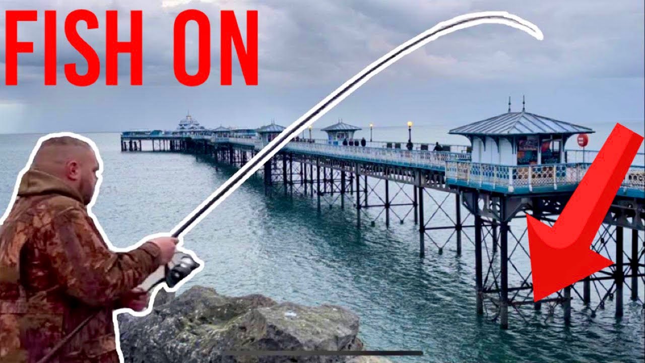 Морская рыбалка у причала Лландидно, Северный Уэльс, Великобритания 🦈🦈🦈