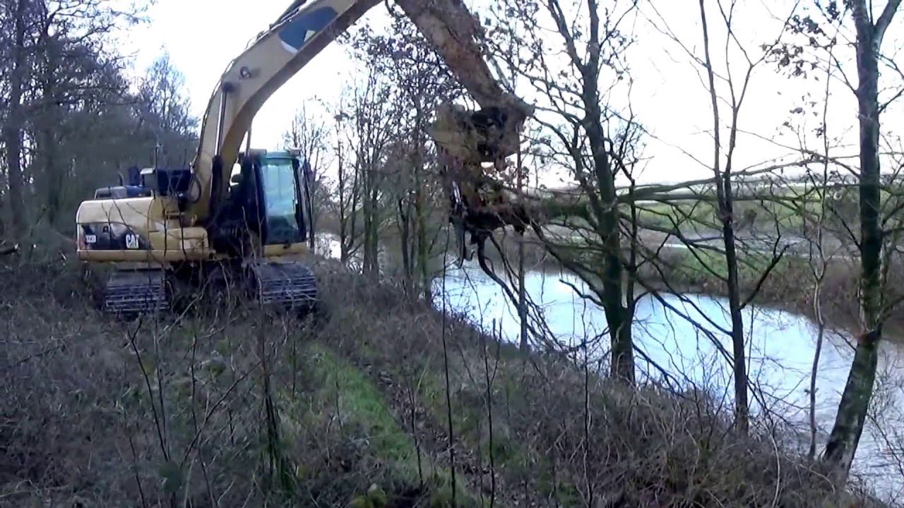BOMEN KNIPPEN / BOMENSCHAAR  MET CAT 323 D  RUPS KRAAN