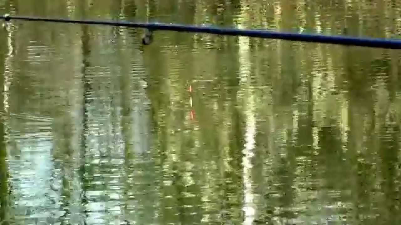 Spławikowe rybobranie