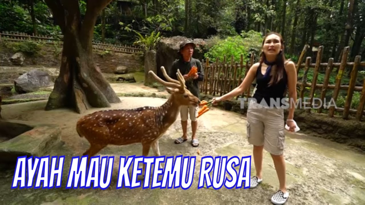 [FULL] AYAH OJAK PENGEN BERMAIN SAMA RUSA | AYAH & AYU (12/08/23)