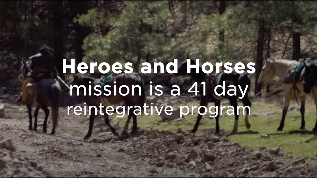 Chris Bova - Heroes and Horses