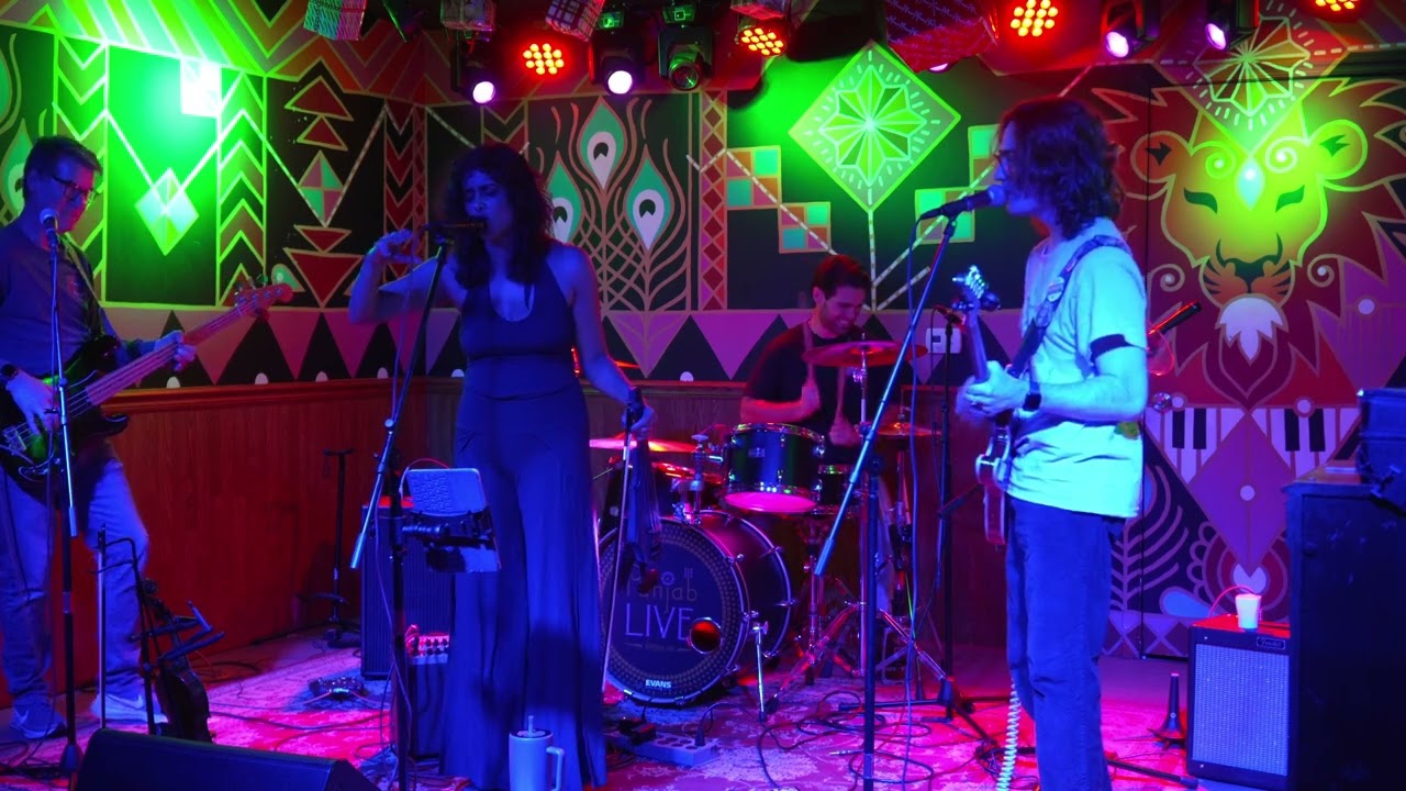 Snow (Hey Oh) by @si.violin and the Multitudes Band