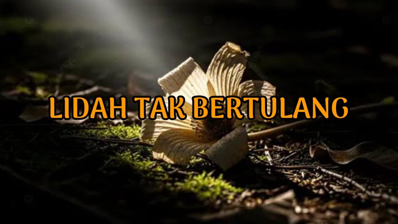 🎆 LIDAH TAK BERTULANG,BERUSAHA MENGHANCURKAN KAMU 🎆