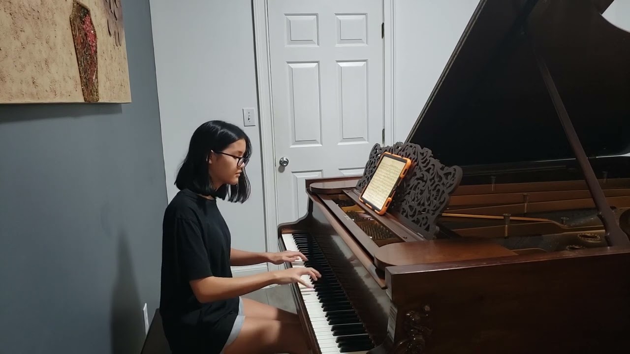 Bach Concerto No. 7 in G minor, BWV 1058: II. Andante (Piano Solo)