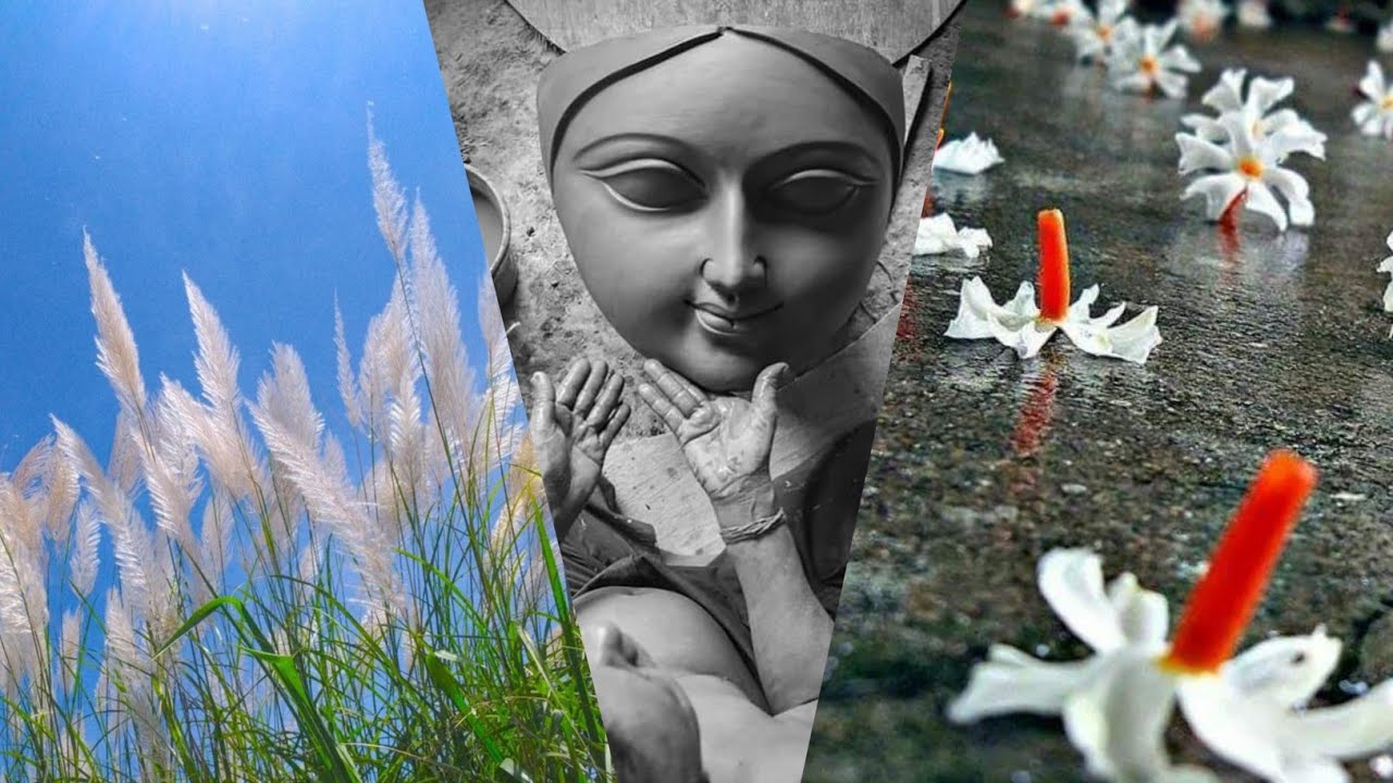 Dhek mon kash bon 🌼 dulche je sari song.  durga puja 2023 status.new slow reverb song status 🥰