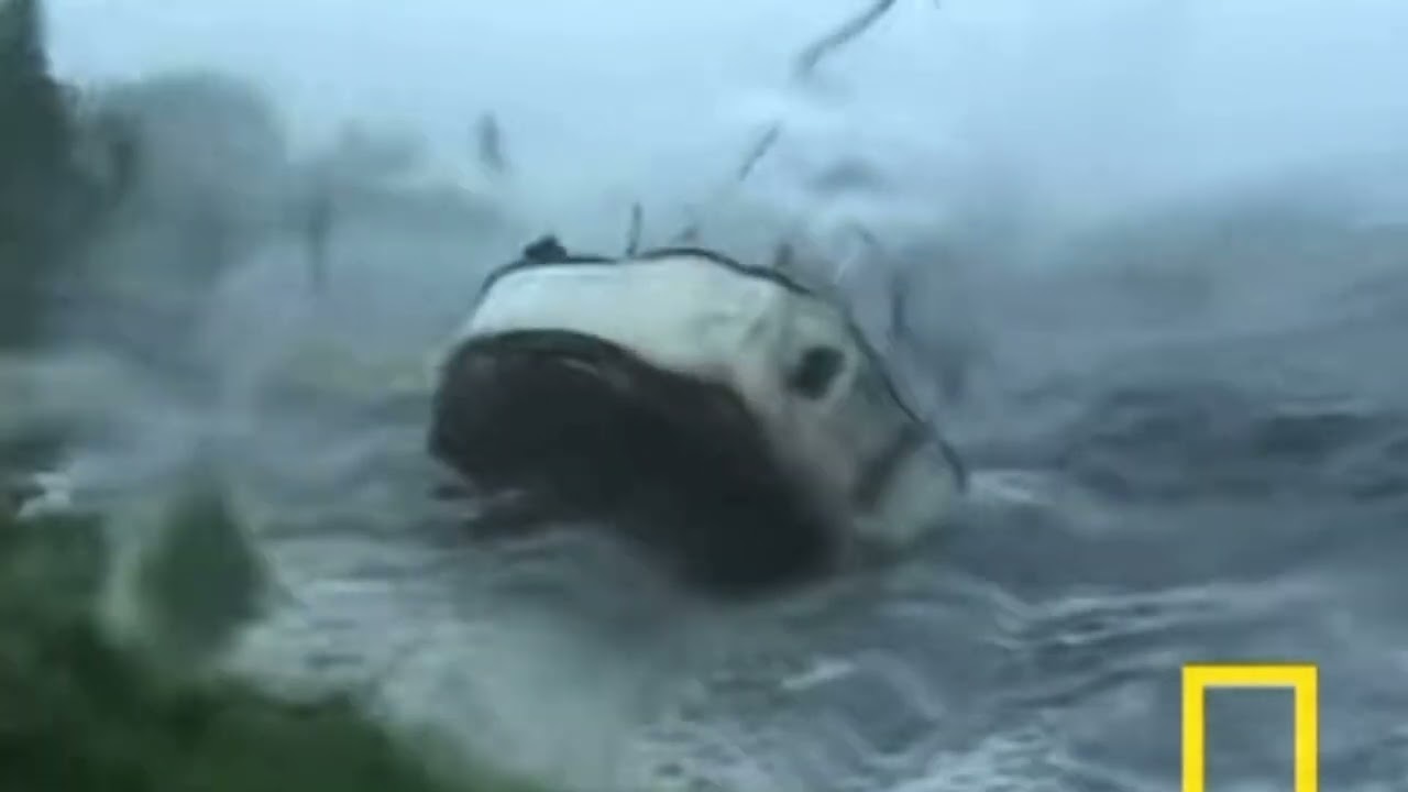 tovi + happydranker type beat