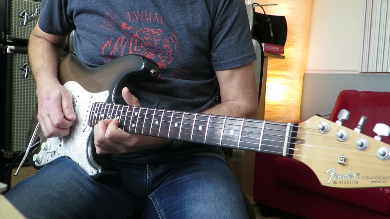 Strat Lynyrd Skynyrd style guitar solo