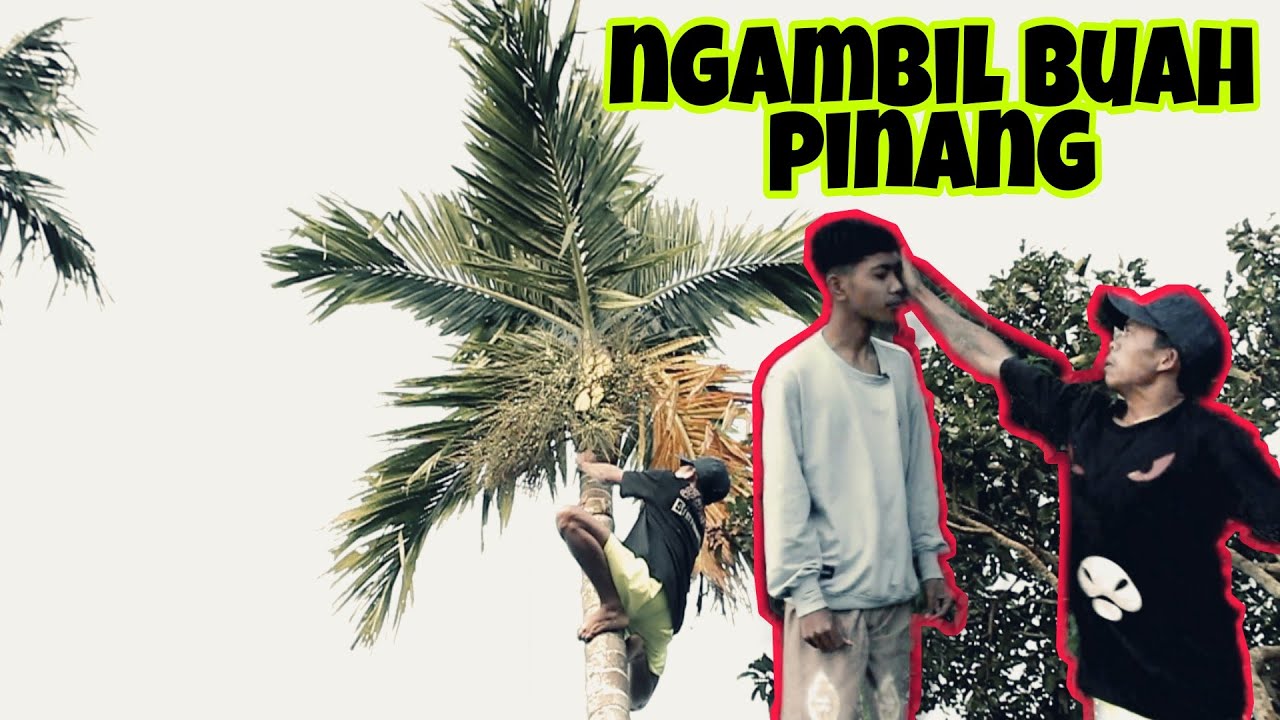 BUAH PINANG||KOMEDI MADURA||