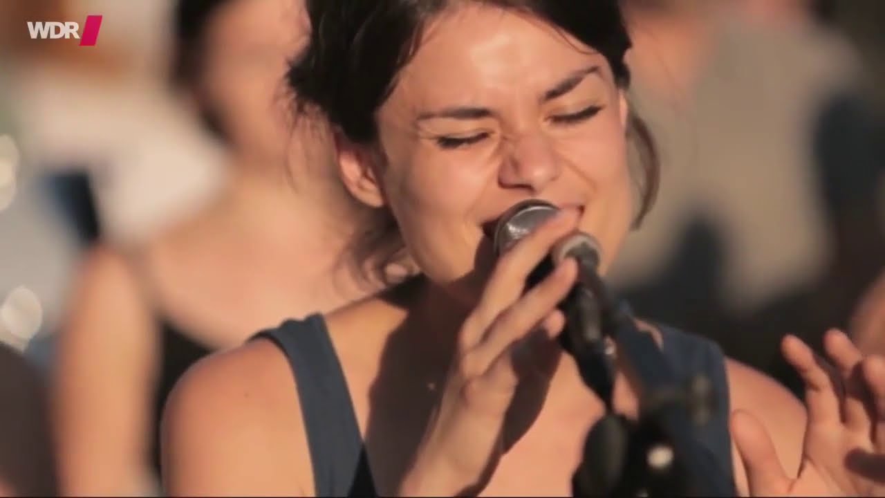 Ein Song für die Tiere - Berge  - 10000 Traenen - Tierrechtssong - Lied - Musik - Tierrecht Fleisch