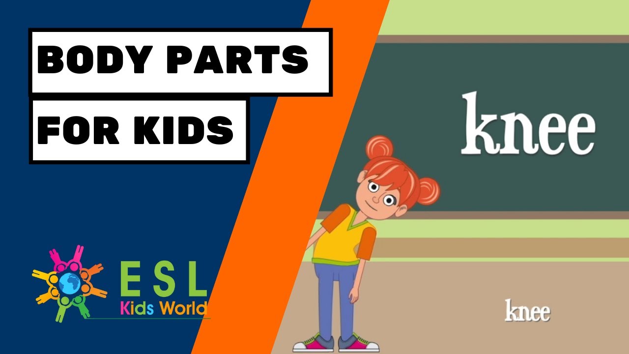 Body Parts for Kids | Parts of the Body Words | ESL Kids