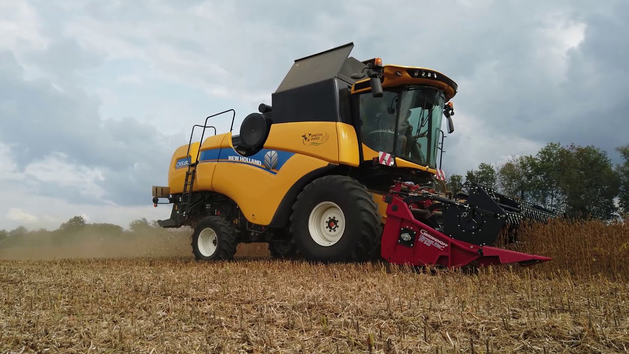 NEW! NEW HOLLAND CX5.80 ON FARM PUHEK | 2020 | + Geringhoff Harvest Star HV 540 #NEWHOLLAND
