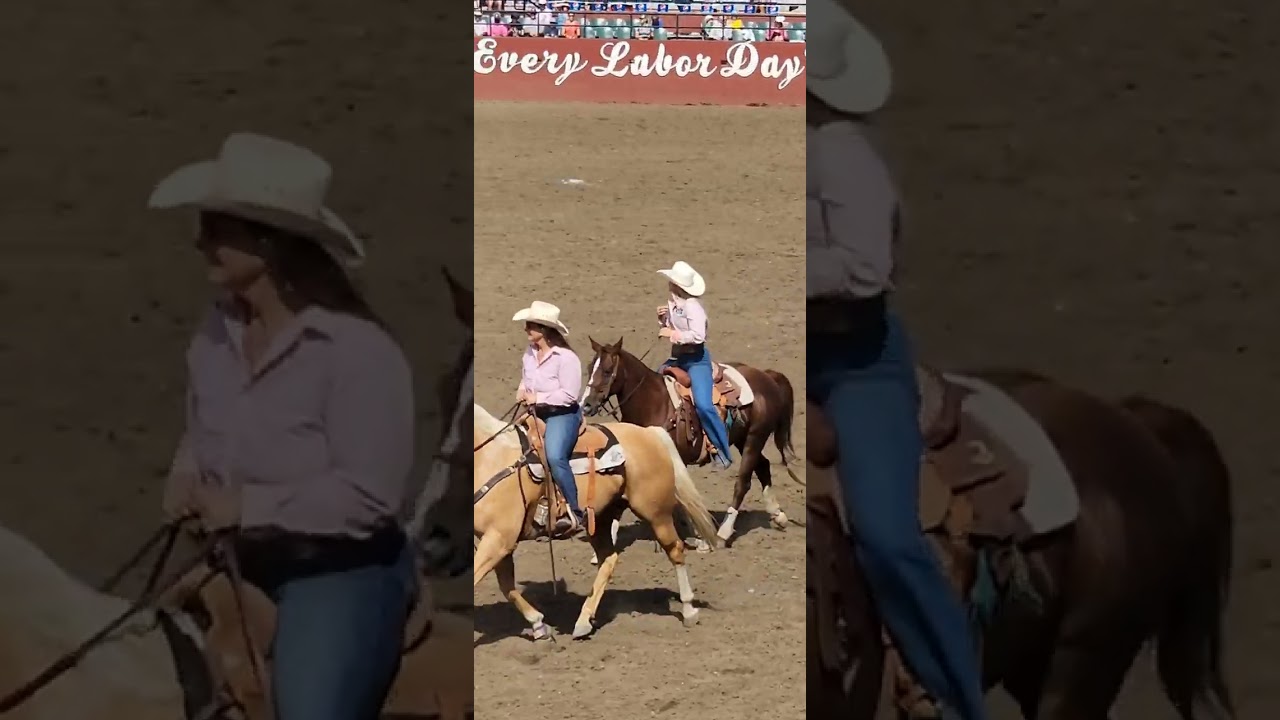 اسبوع الفرس 🐎 ديال المراكنة 🇺🇸 