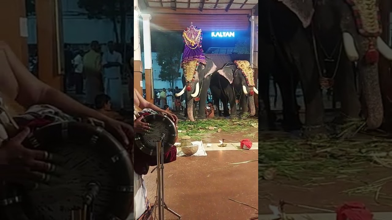 oru neramenkilum kanathe@vaikomshajinagaswaram2134 #kjyesudas #guruvayoor #temple #song #nadaswaram